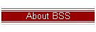 About BSS