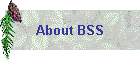 About BSS